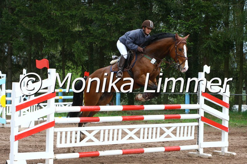 004M2438_Quiseidon_Spring M x.JPG